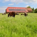 Soemmertied, Exklusive 4-sterne-fewo Von 2024, Sonnenterrasse, Eigener Zugang Zur 150 M Entfernten Nordsee Appartement